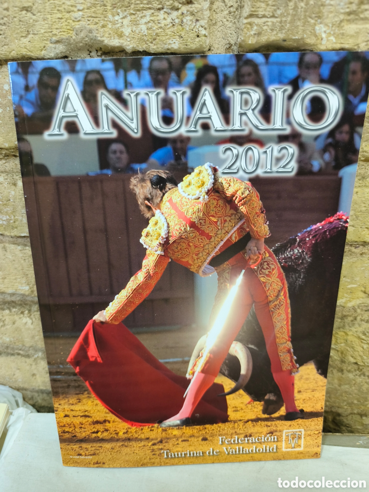 Bullfighting: Anuario 2012, federaci&oacute;n Taurina de Valladolid