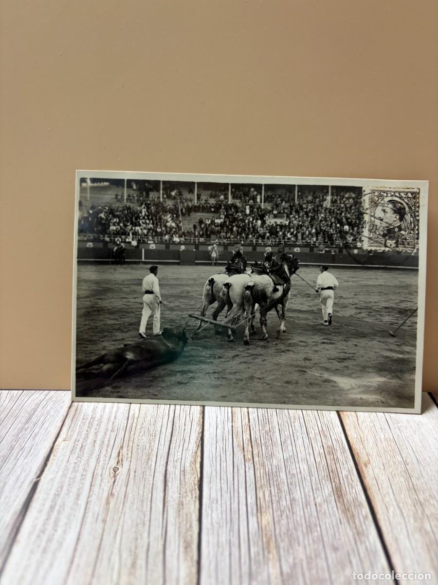 Tauromachie: TARJETA POSTAL FOTOGR&Aacute;FICA. CORRIDA DE TOROS. 495.- ARRASTRE DEL TORO. FOTO GALARZA