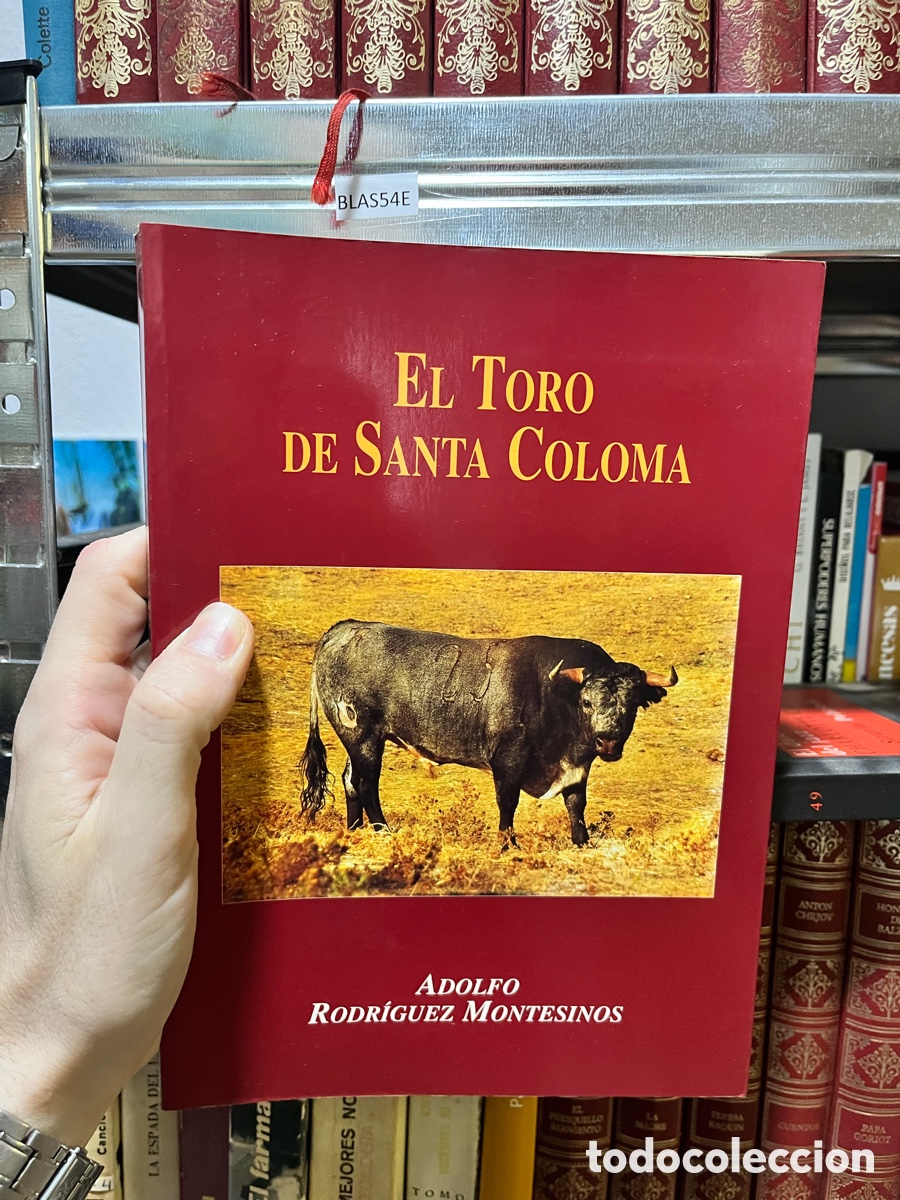 Tauromaquia: Blas64E EL TORO DE SANTA COLOMA ADOLFO RODRIGUEZ MONTESINOS