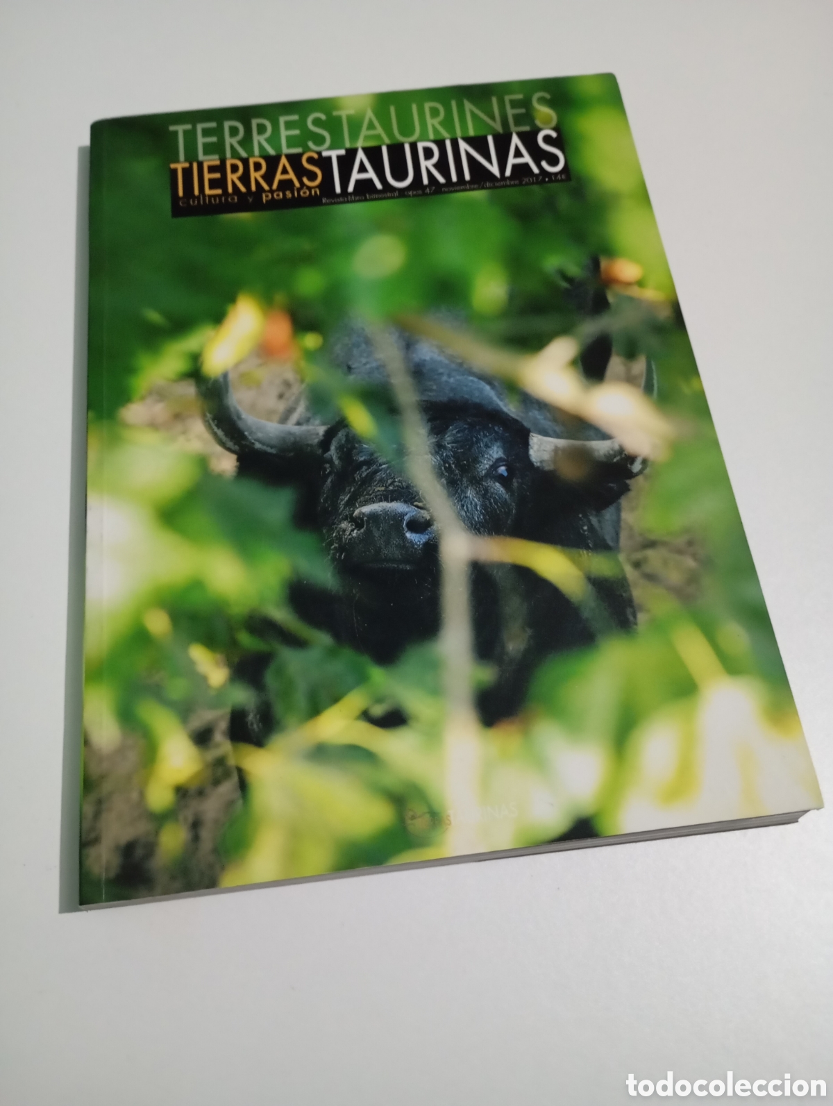 Tauromaquia: Tierras Taurinas n&deg; 47 Cultura y pasi&oacute;n Los Toros del Cura # Tauromaquia Lidia Revista Libro