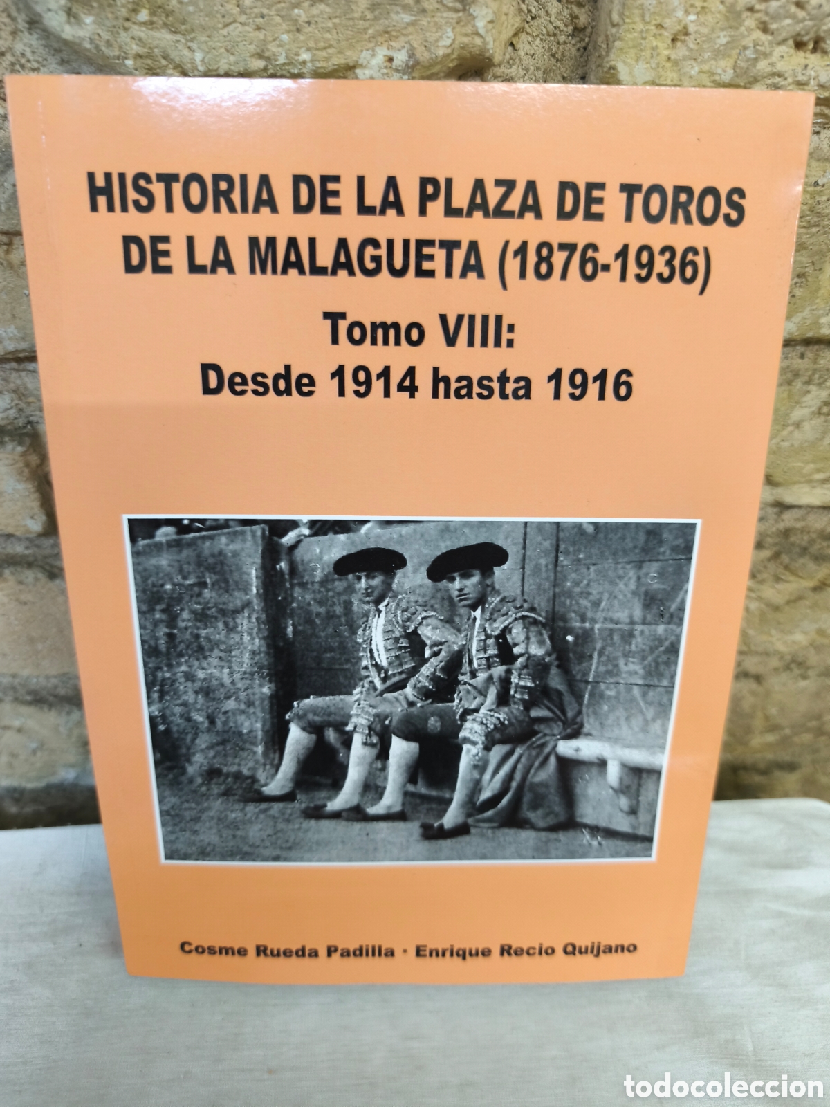 Stierkampf: HISTORIA DE LA PLAZA DE TOROS DE LA MALAGUETA (1876-1936) TOMO 8