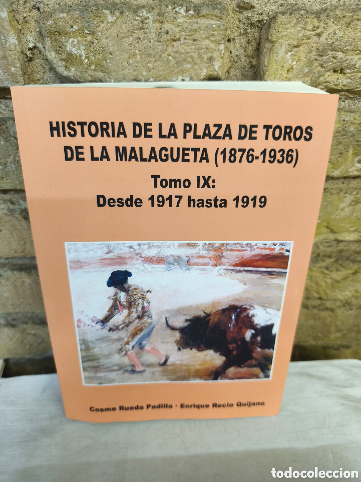 Stierkampf: HISTORIA DE LA PLAZA DE TOROS DE LA MALAGUETA (1876-1936) TOMO 9