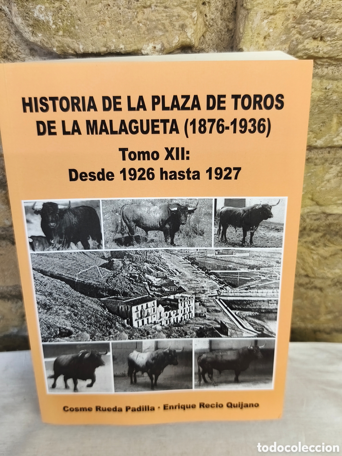Stierkampf: HISTORIA DE LA PLAZA DE TOROS DE LA MALAGUETA (1876-1936) TOMO 12