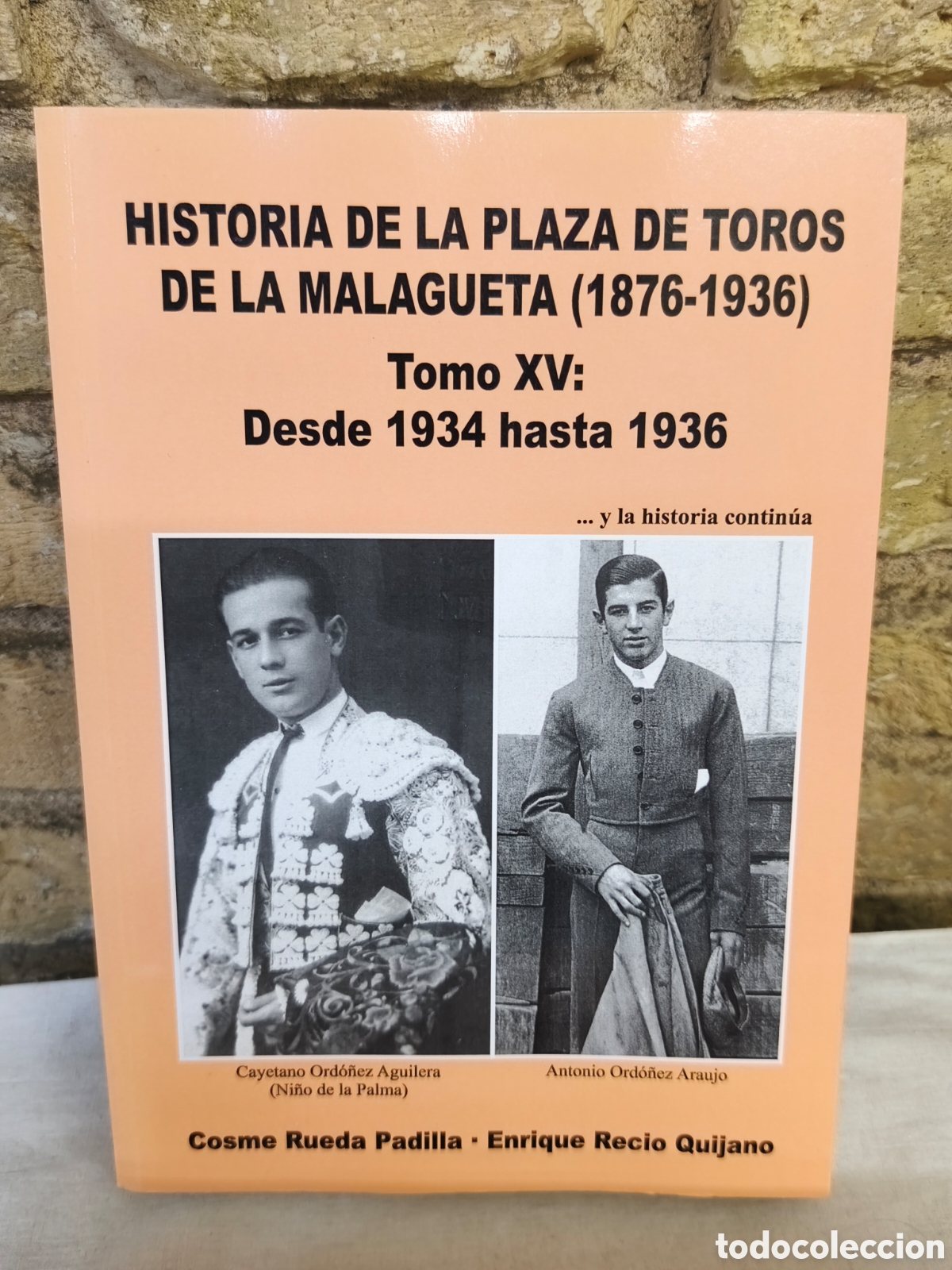 Stierkampf: HISTORIA DE LA PLAZA DE TOROS DE LA MALAGUETA (1876-1936) TOMO 15