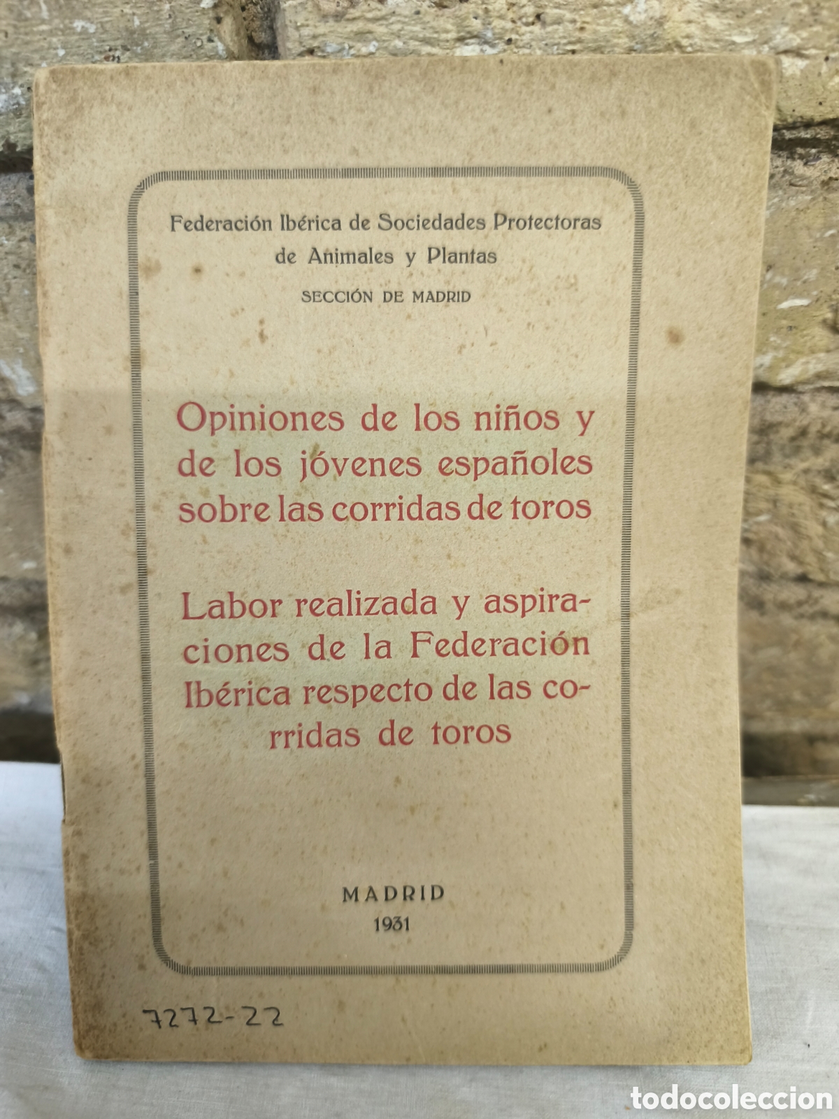 Stierkampf: 1931 opiniones de los ni&ntilde;os espa&ntilde;oles sobre corridas de toros