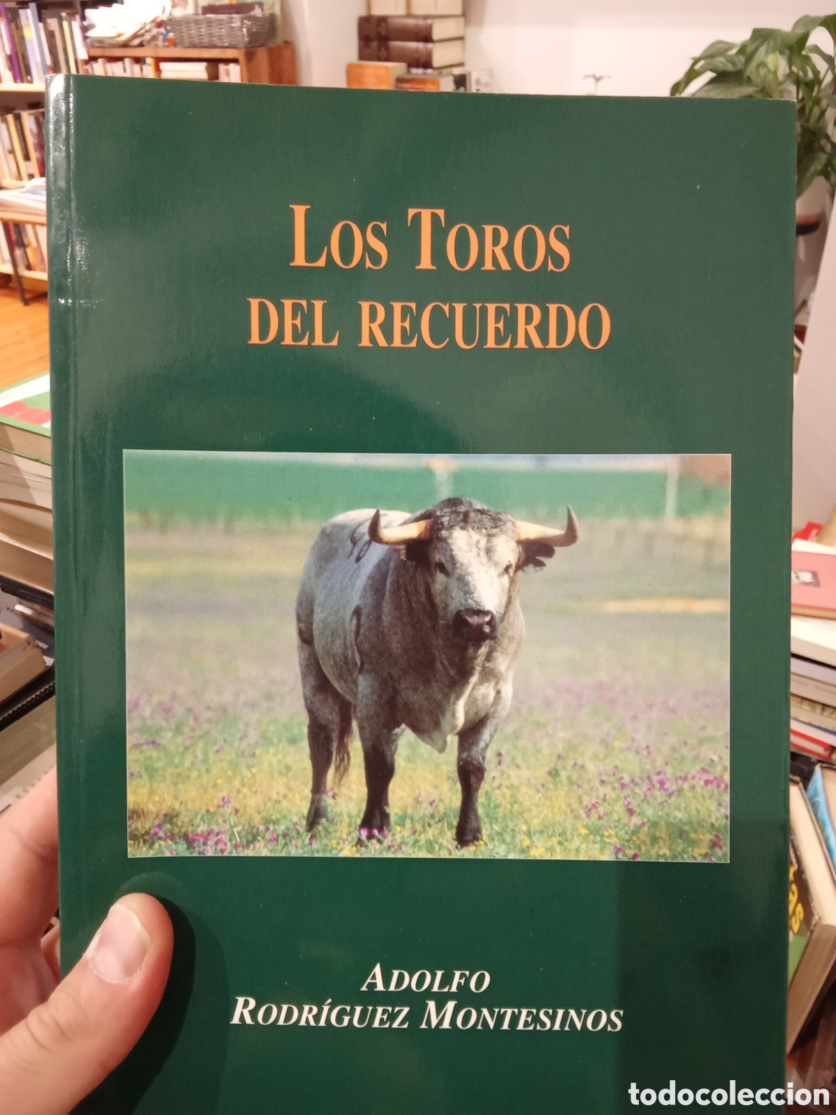 Tauromaquia: Los toros del recuerdo - Adolfo Rodr&iacute;guez Montesinos