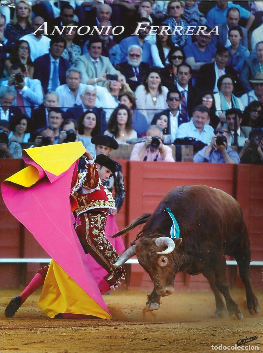 Tauromaquia: FOTOGRAF&Iacute;A - TOROS - TAUROMAQUIA - TORERO - ANTONIO FERRERA - 22'5 x 30 CMS.