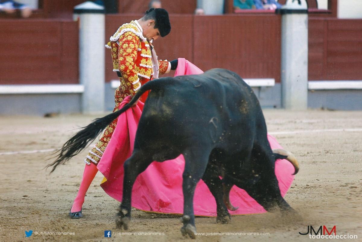 Tauromaquia: FOTOGRAF&Iacute;A - TOROS - TAUROMAQUIA - TORERO - JOSE MARIA MANZANARES - 30 x 20 CMS.