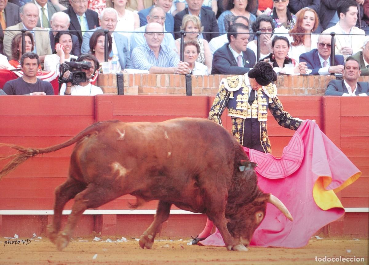 Tauromaquia: FOTOGRAF&Iacute;A - TOROS - TAUROMAQUIA - TORERO - DESCONOCIDO - 30 x 21'5 CMS.