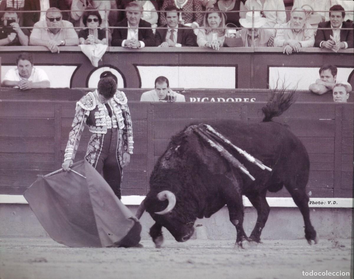 Tauromaquia: FOTOGRAF&Iacute;A - TOROS - TAUROMAQUIA - TORERO - DANIEL LUQUE - 30 x 24 CMS.
