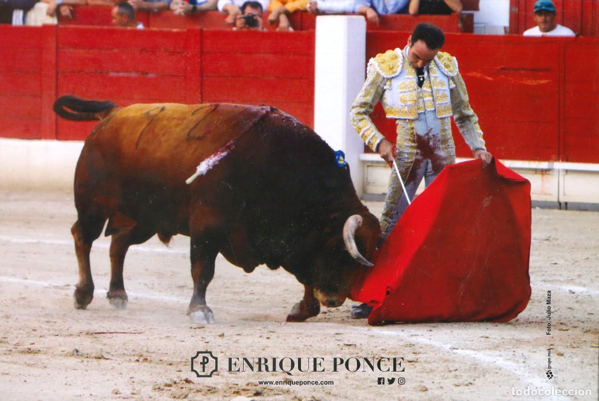 Tauromaquia: FOTOGRAF&Iacute;A - TOROS - TAUROMAQUIA - TORERO - ENRIQUE PONCE - 30 x 20 CMS.