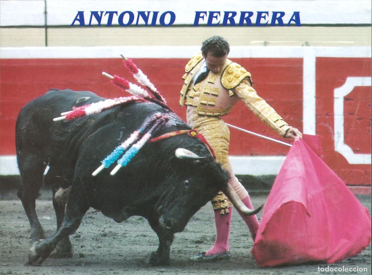 Tauromaquia: FOTOGRAF&Iacute;A - TOROS - TAUROMAQUIA - TORERO - ANTONIO FERRERA - 24 x 17'5 CMS