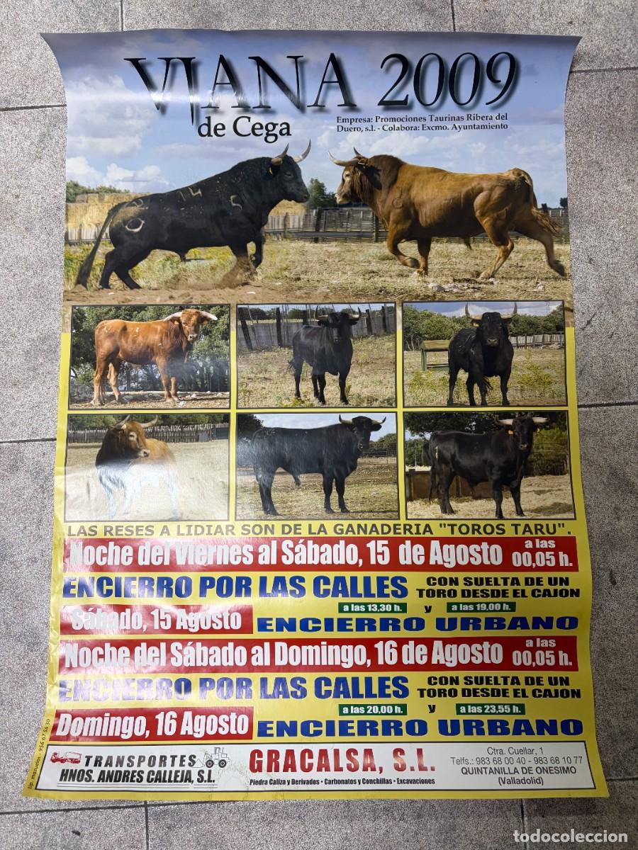 Tauromaquia: CARTEL TOROS. VIANA DE CEGA. VALLADOLID. 2009. GANADER&Iacute;A TOROS TARU. VER