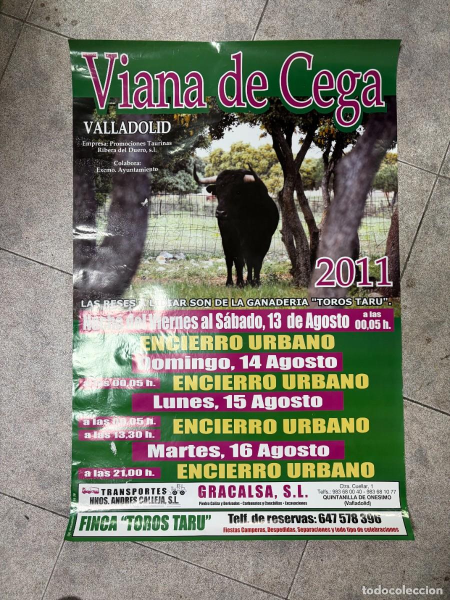 Tauromaquia: CARTEL TOROS. VIANA DE CEGA. VALLADOLID. 2011. GANADER&Iacute;A TOROS TARU. VER