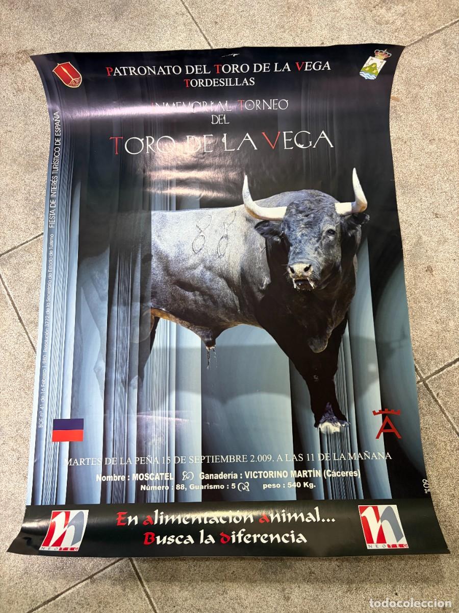Tauromaquia: CARTEL. INMEMORIAL TORNEO DEL TORO DE LA VEGA. PATRONATO DEL TORO DE LA VEGA. TORDESILLAS. 2009