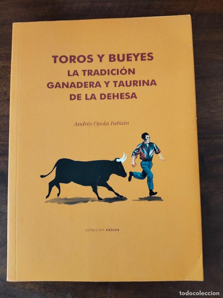 Tauromaquia: Toros y Bueyes. La tradici&oacute;n ganadera y taurina de la dehesa. Extremadura.