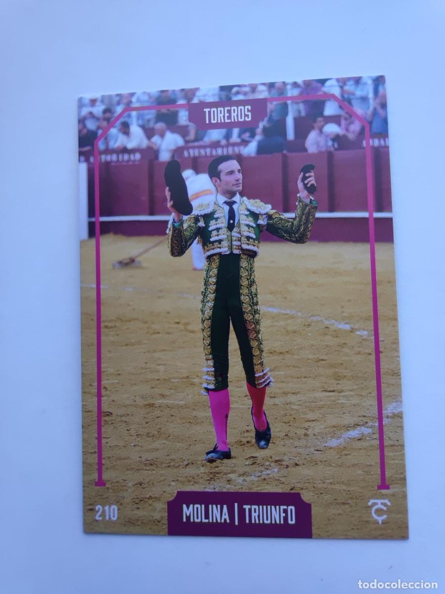 Stierkampf: Cromo Colecci&oacute;n Taurocromos N&ordm; 210