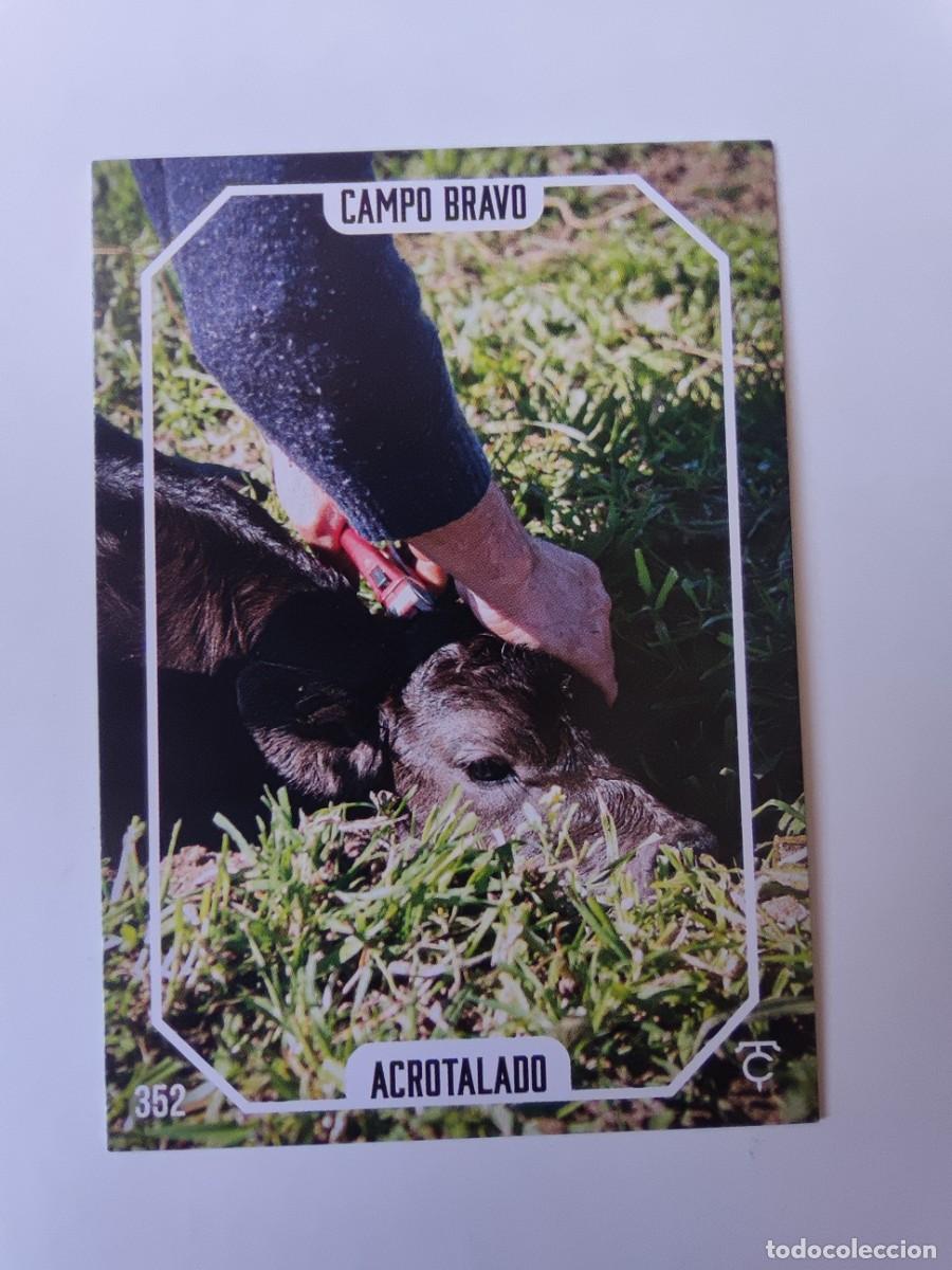 Tauromaquia: Cromo Colecci&oacute;n Taurocromos N&ordm; 352