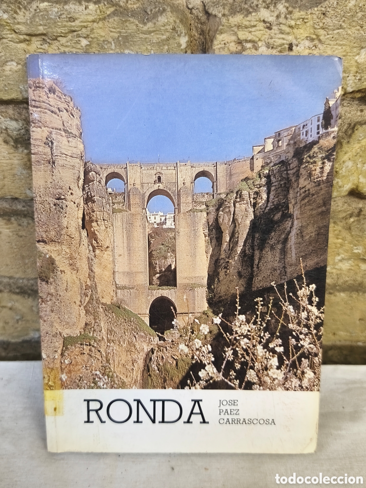Tauromaquia: RONDA JOSE PAEZ CARRASCOSA