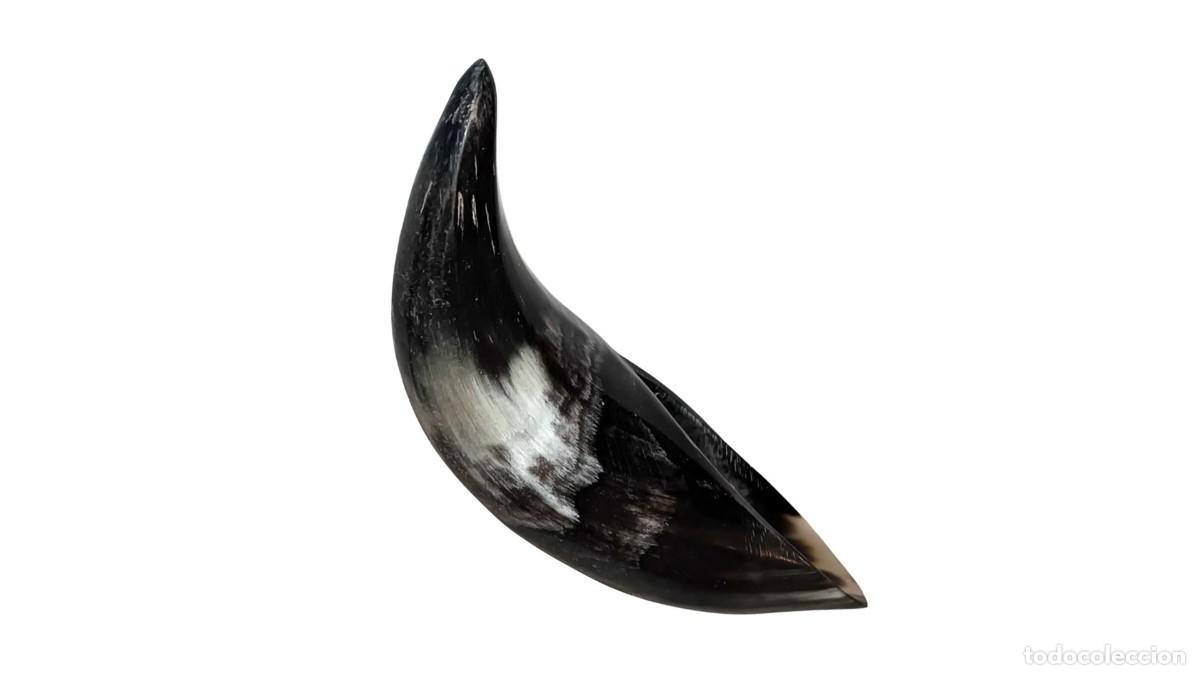 Tauromaquia: CUERNO DE VACA PULIDO - RECIPIENTE PARA BEBER ESTILO VIKINGO - DECORACI&Oacute;N R&Uacute;STICA - A&Ntilde;OS 60/70