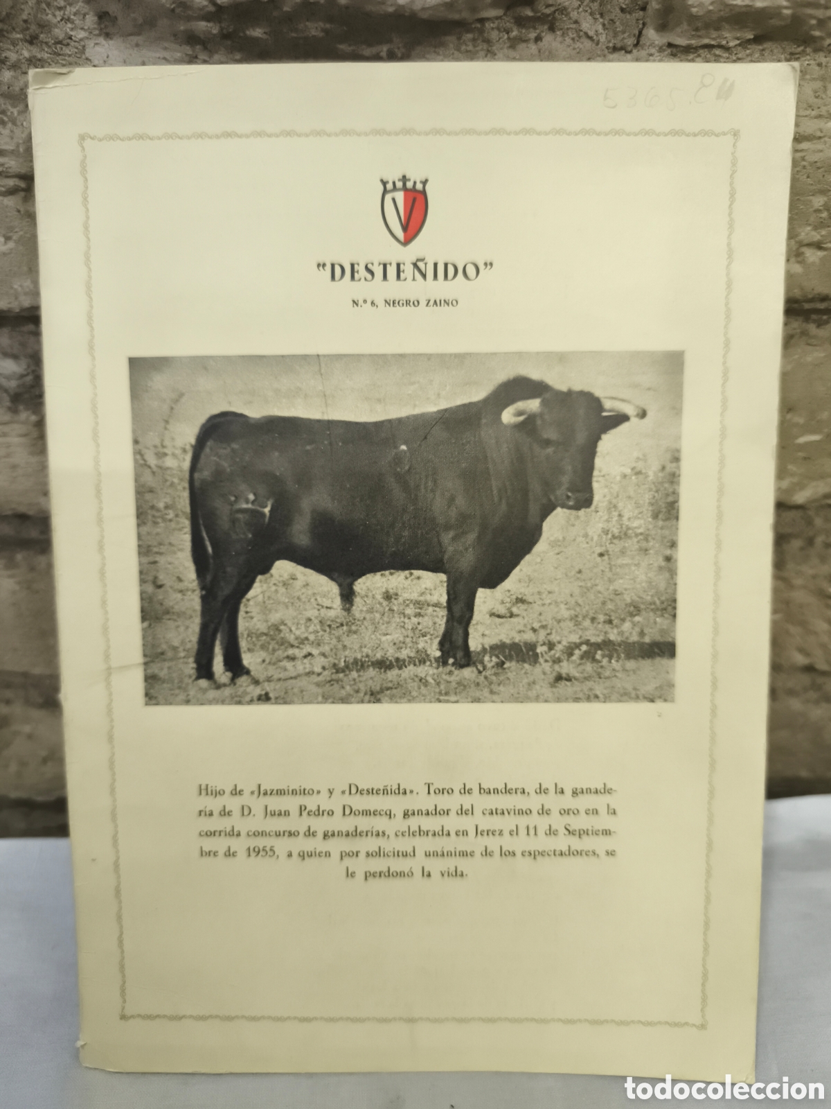 Tauromachie: Deste&ntilde;ido n.6 negro zaino
