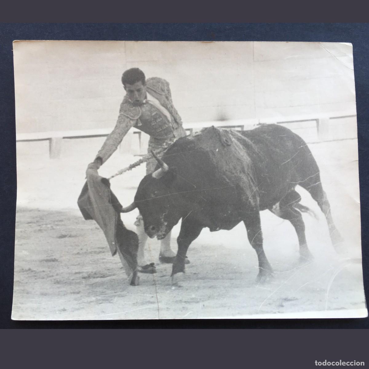 Tauromaquia: A&ntilde;os 1970 - Fotograf&iacute;a original de Antonio Ordo&ntilde;ez - Toros - Tauromaquia - 25 x 18 cm. - Ronda