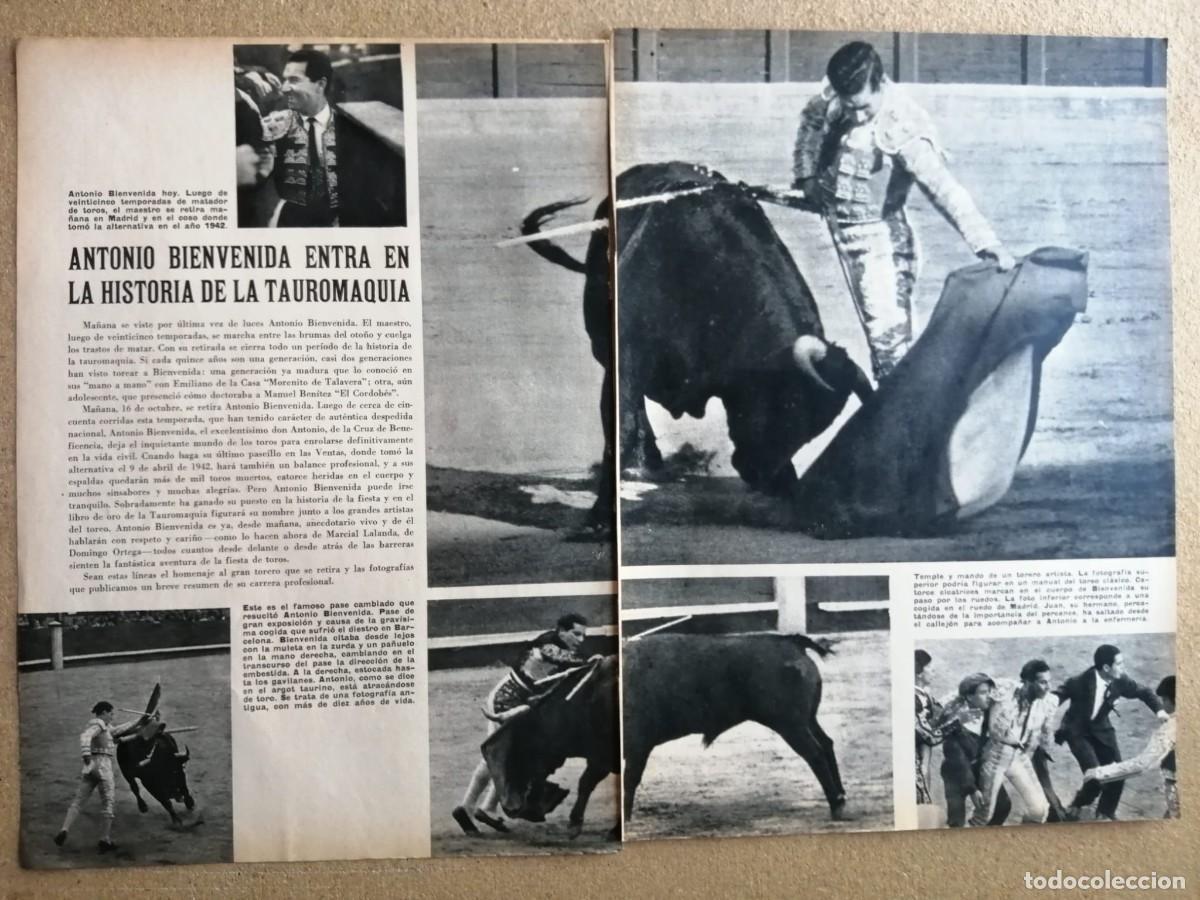 Tauromaquia: REPORTAJE TAURINO. ANTONIO BIENVENIDA, ENTRA EN LA HISTORIA DE LA TAUROMAQUIA