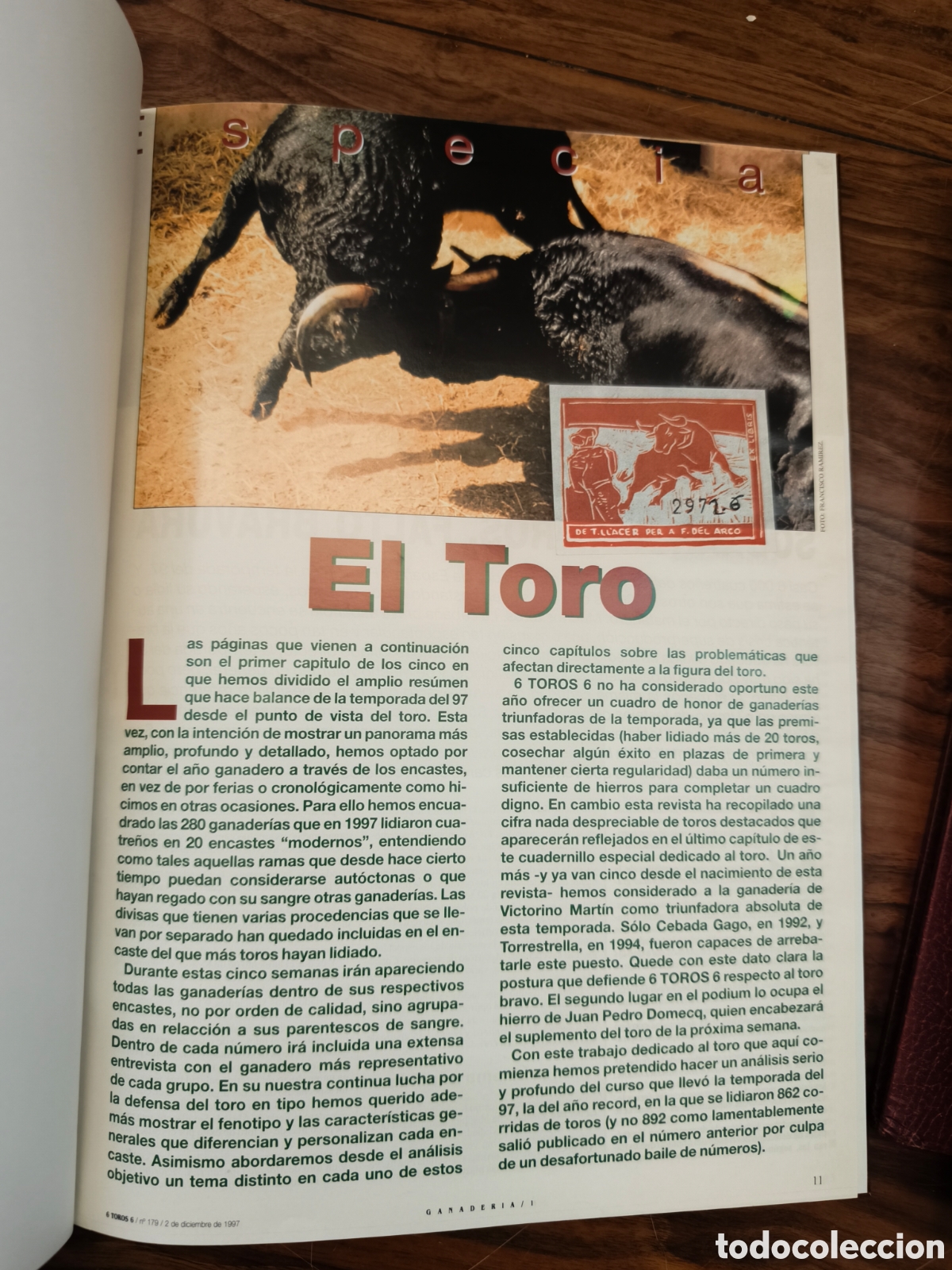 Tauromaquia: El toro 6t6 encuadernado
