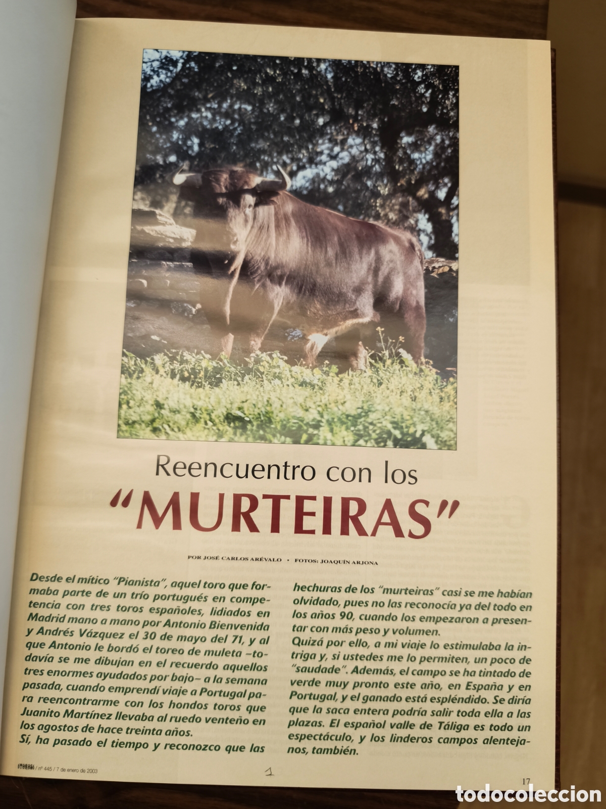 Tauromaquia: Ganader&iacute;as 2003 6t6 .