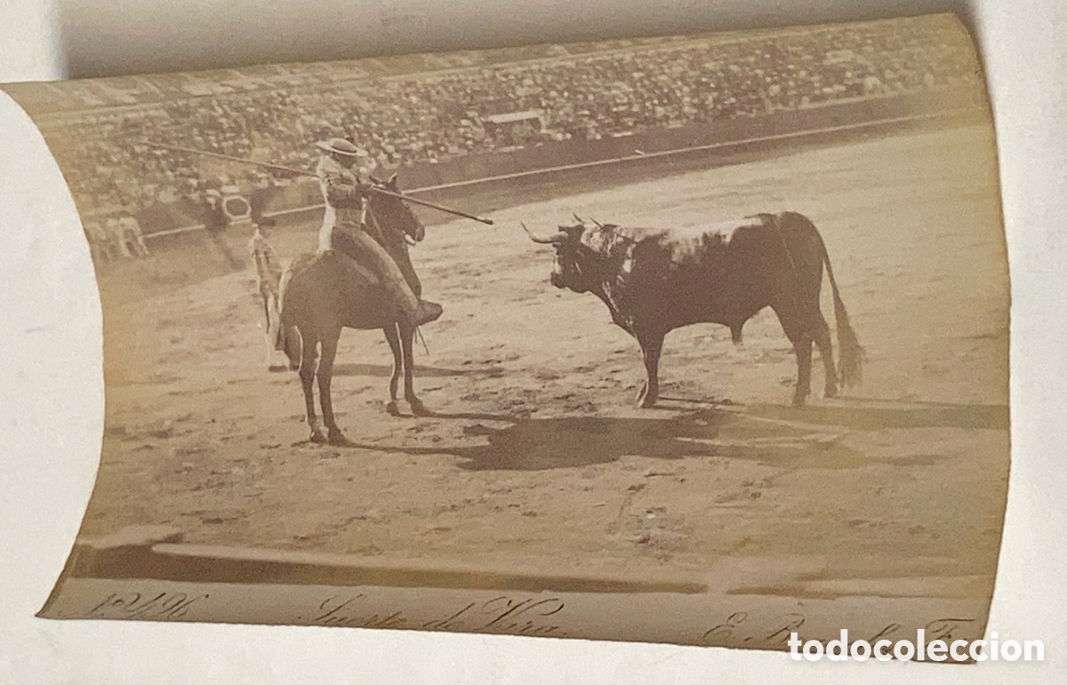 Stierkampf: SEVILLA SIGLO XIX - FOTOGRAF&Iacute;A ALB&Uacute;MINA DE E. BEAUCHY - N&ordm; 496 SUERTE DE VARA - TOROS