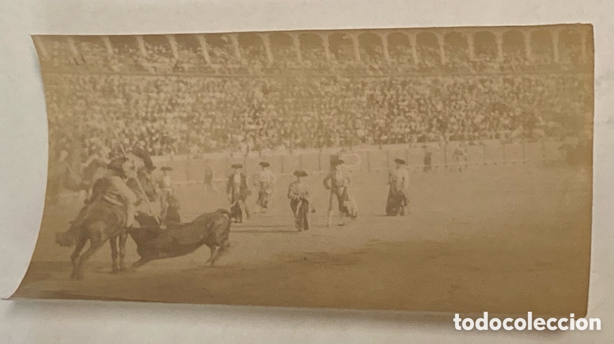 Stierkampf: SEVILLA SIGLO XIX - FOTOGRAF&Iacute;A ALB&Uacute;MINA DE E. BEAUCHY - N&ordm; 456 SUERTE DE VARA - TOROS