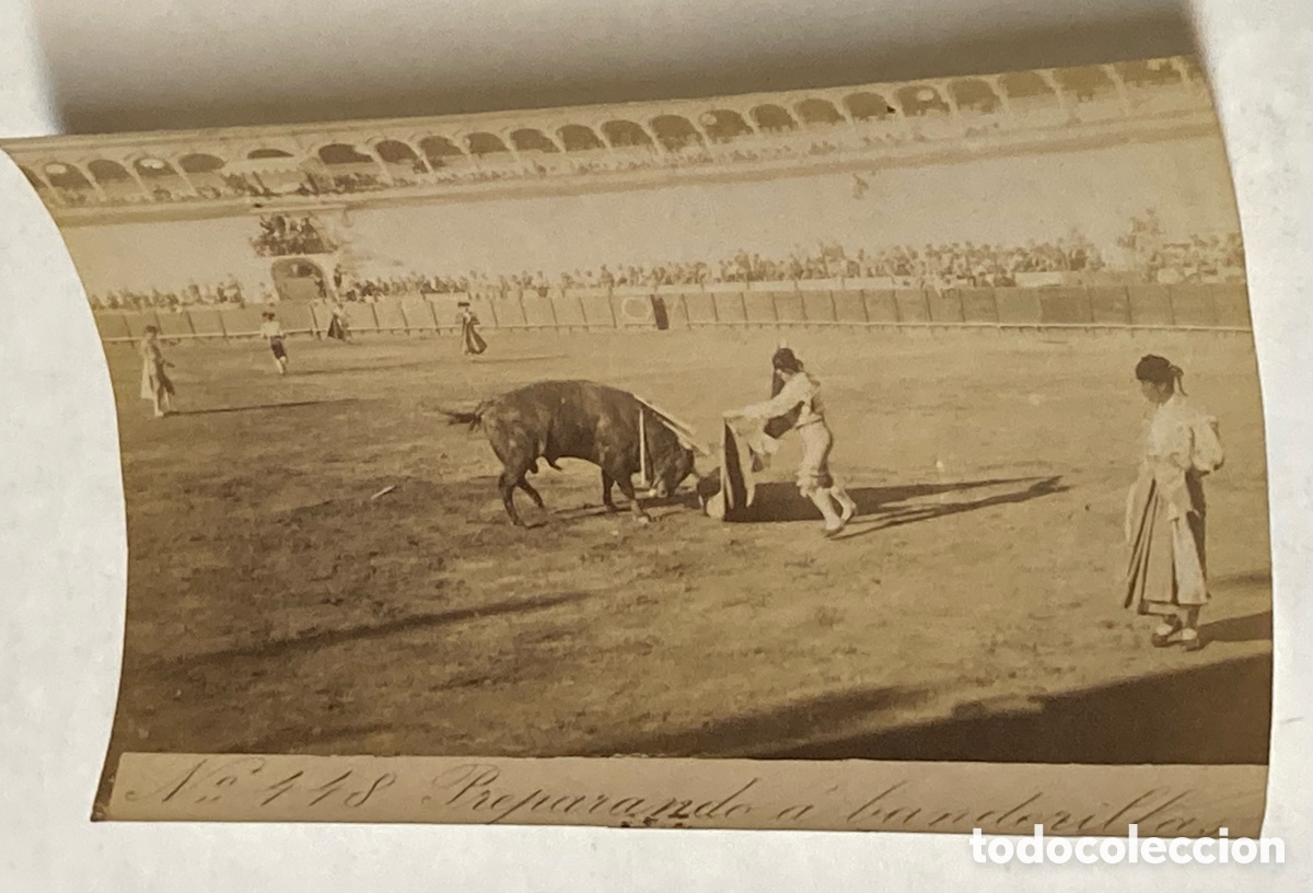 Stierkampf: SEVILLA SIGLO XIX - FOTOGRAF&Iacute;A ALB&Uacute;MINA DE E. BEAUCHY - N&ordm; 448 PREPARANDO A BANDERILLAS - TOROS