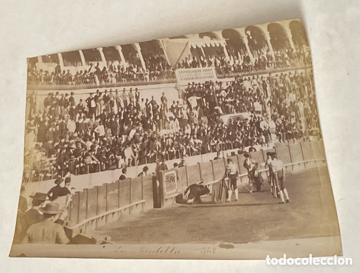 Stierkampf: SEVILLA SIGLO XIX - FOTOGRAF&Iacute;A ALB&Uacute;MINA DE E. BEAUCHY - N&ordm; 440 LA PUNTILLA - TOROS
