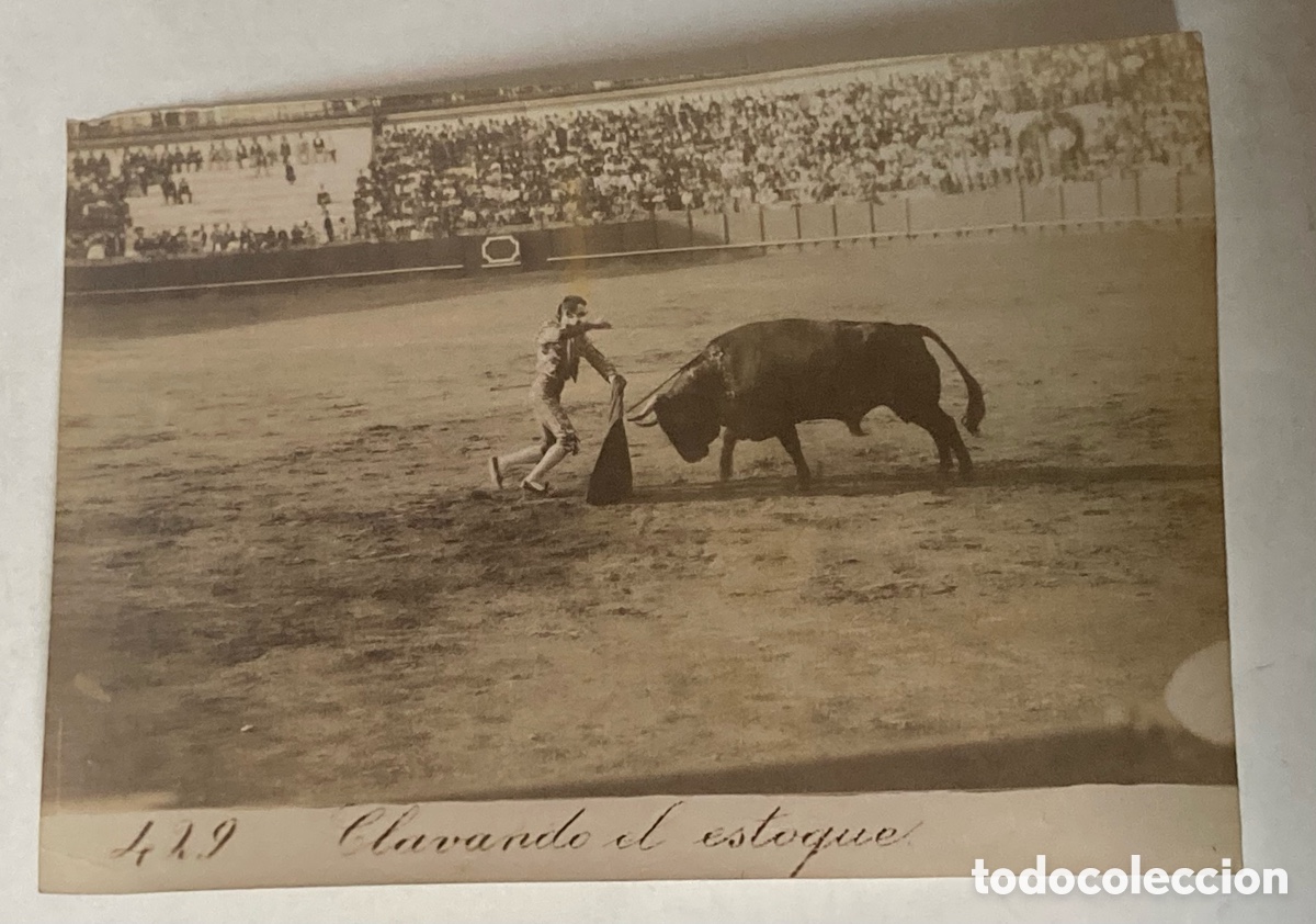 Stierkampf: SEVILLA SIGLO XIX - FOTOGRAF&Iacute;A ALB&Uacute;MINA DE E. BEAUCHY - N&ordm; 429 - CLAVANDO EL ESTOQUE - TOROS