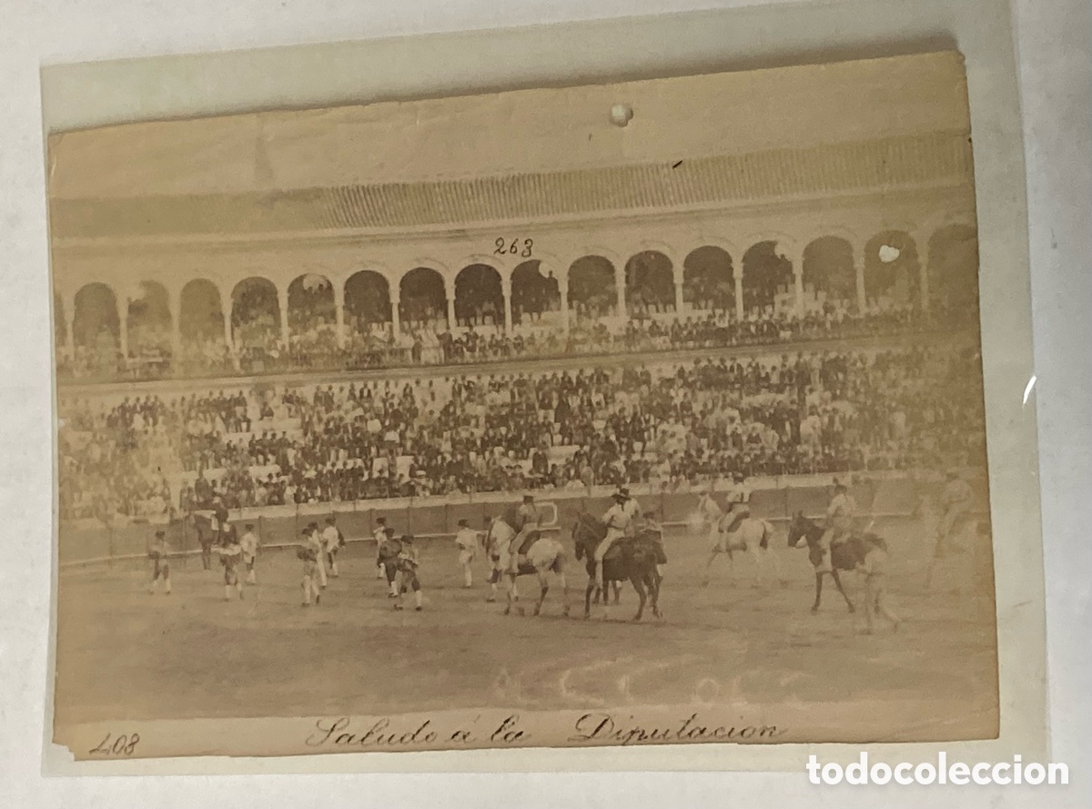 Stierkampf: SEVILLA SIGLO XIX - FOTOGRAF&Iacute;A ALB&Uacute;MINA DE E. BEAUCHY - N&ordm; 408 SALUDOS A LA DIPUTACI&Oacute;N - TOROS