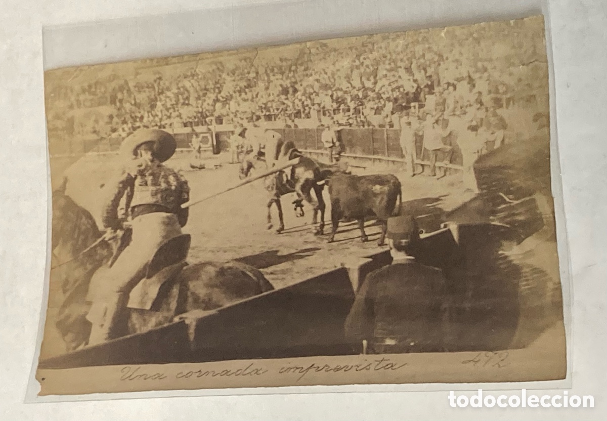 Stierkampf: SEVILLA SIGLO XIX - FOTOGRAF&Iacute;A ALB&Uacute;MINA DE E. BEAUCHY - N&ordm; 472 UNA CORNADA IMPREVISTA - TOROS