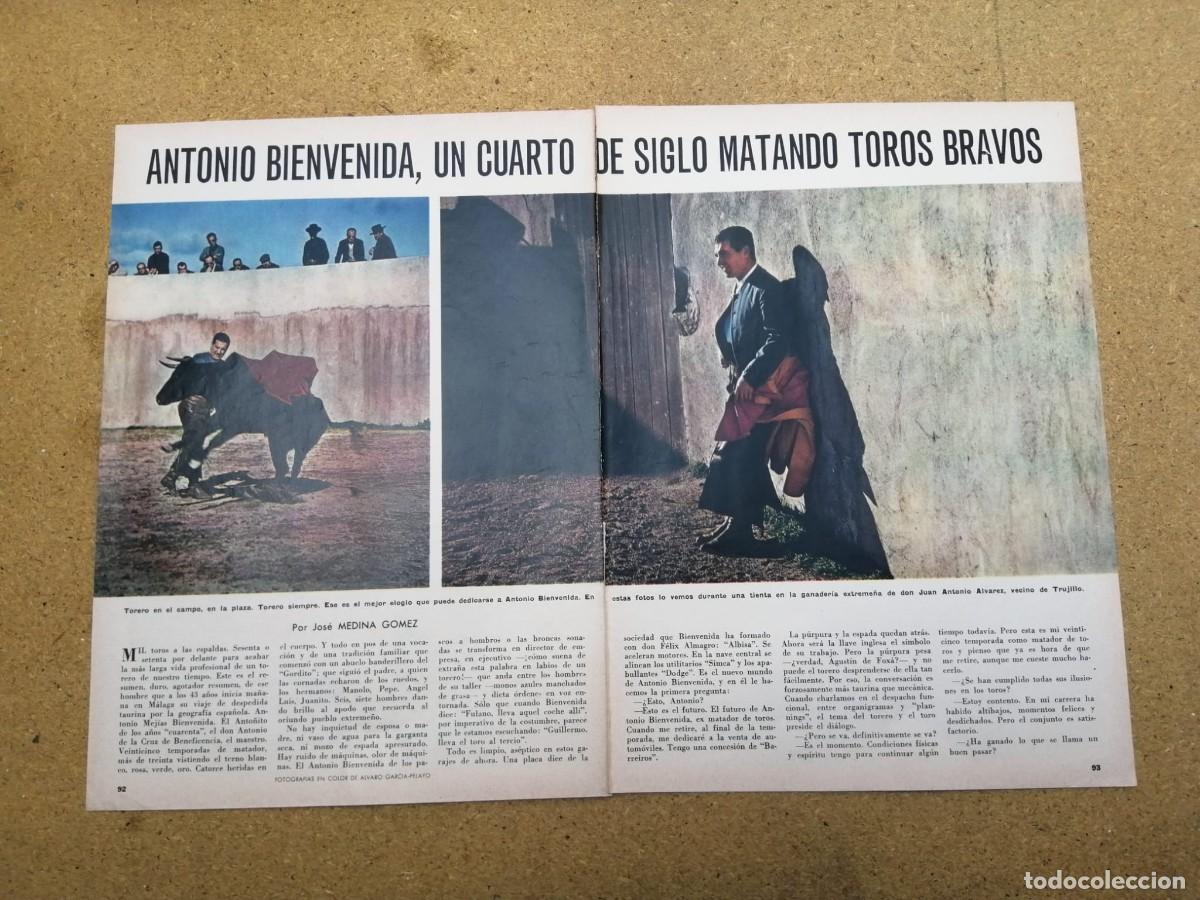 Tauromaquia: REPORTAJE. ANTONIO BIENVENIDA UN CUARTO DE SIGLO MATANDO TOROS BRAVOS