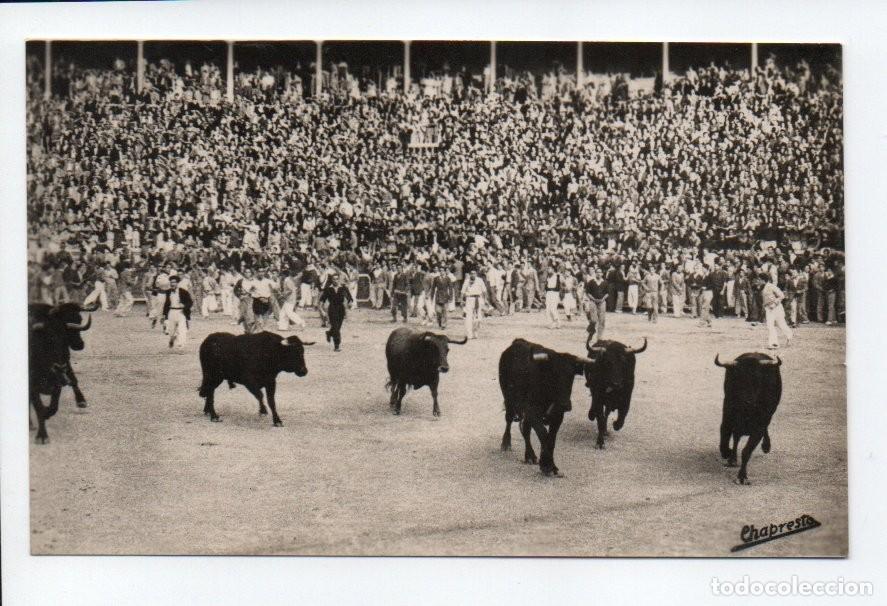 Tauromaquia: ANTIGUA POSTAL FOTOGRAFICA N&ordm; 70 - LOS TOROS EN LA PLAZA, FASE FINAL. CHAPRESTO. GARRABELLA. ESCRITA