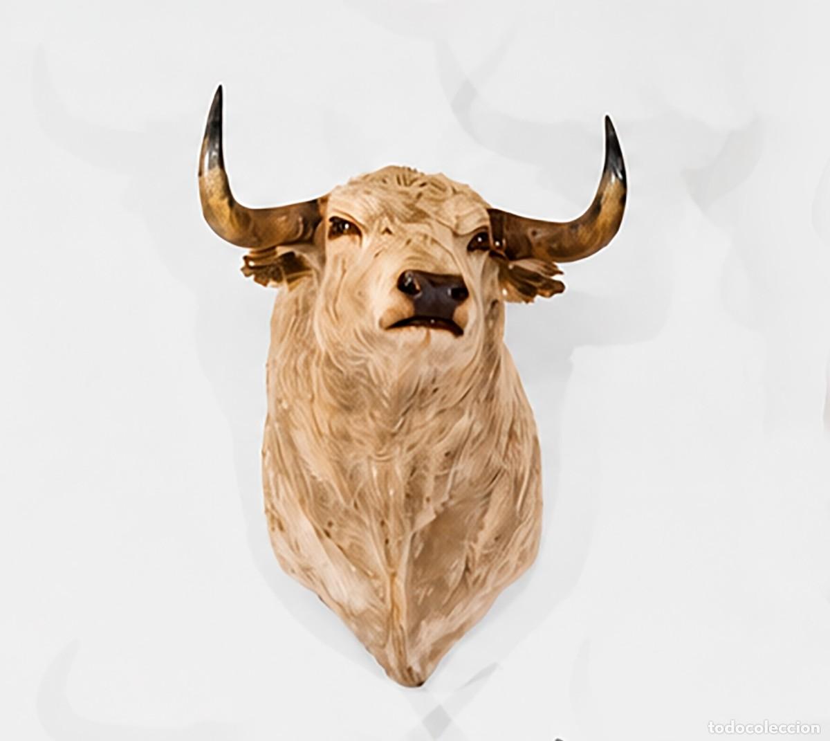 Tauromaquia: Cabeza toro de lidia naturalizada. Pinta rubia. 1 m. Acero corten