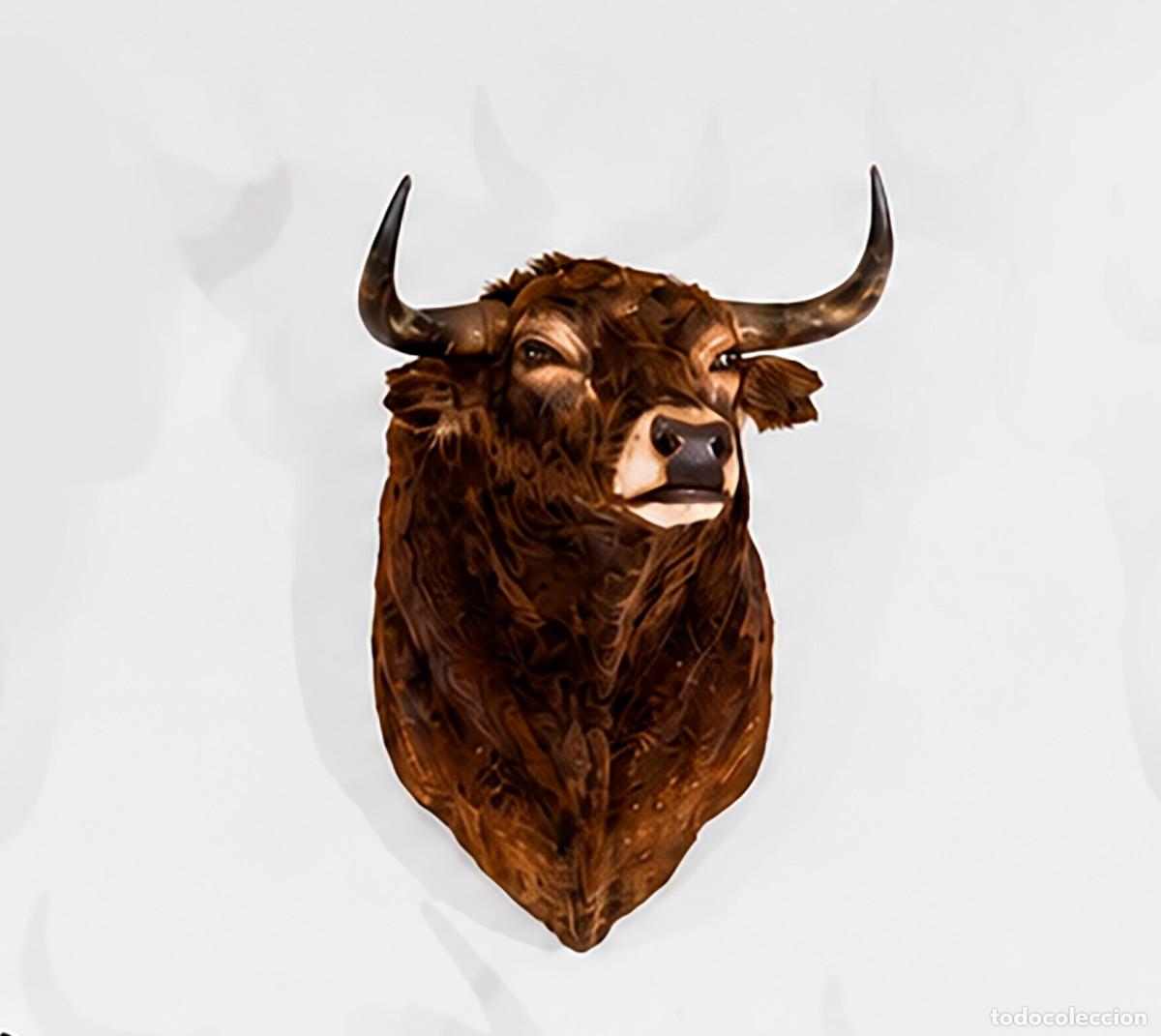 Tauromaquia: Cabeza toro de lidia naturalizada. Pinta colorada. 1 m. Corten