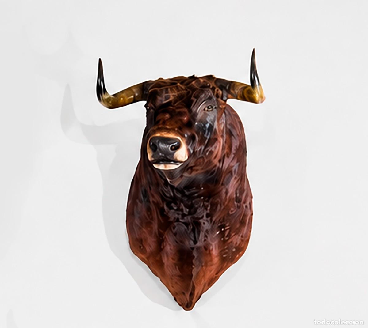 Tauromaquia: Cabeza toro de lidia naturalizada. Retinto oscuro. 1 m. Corten