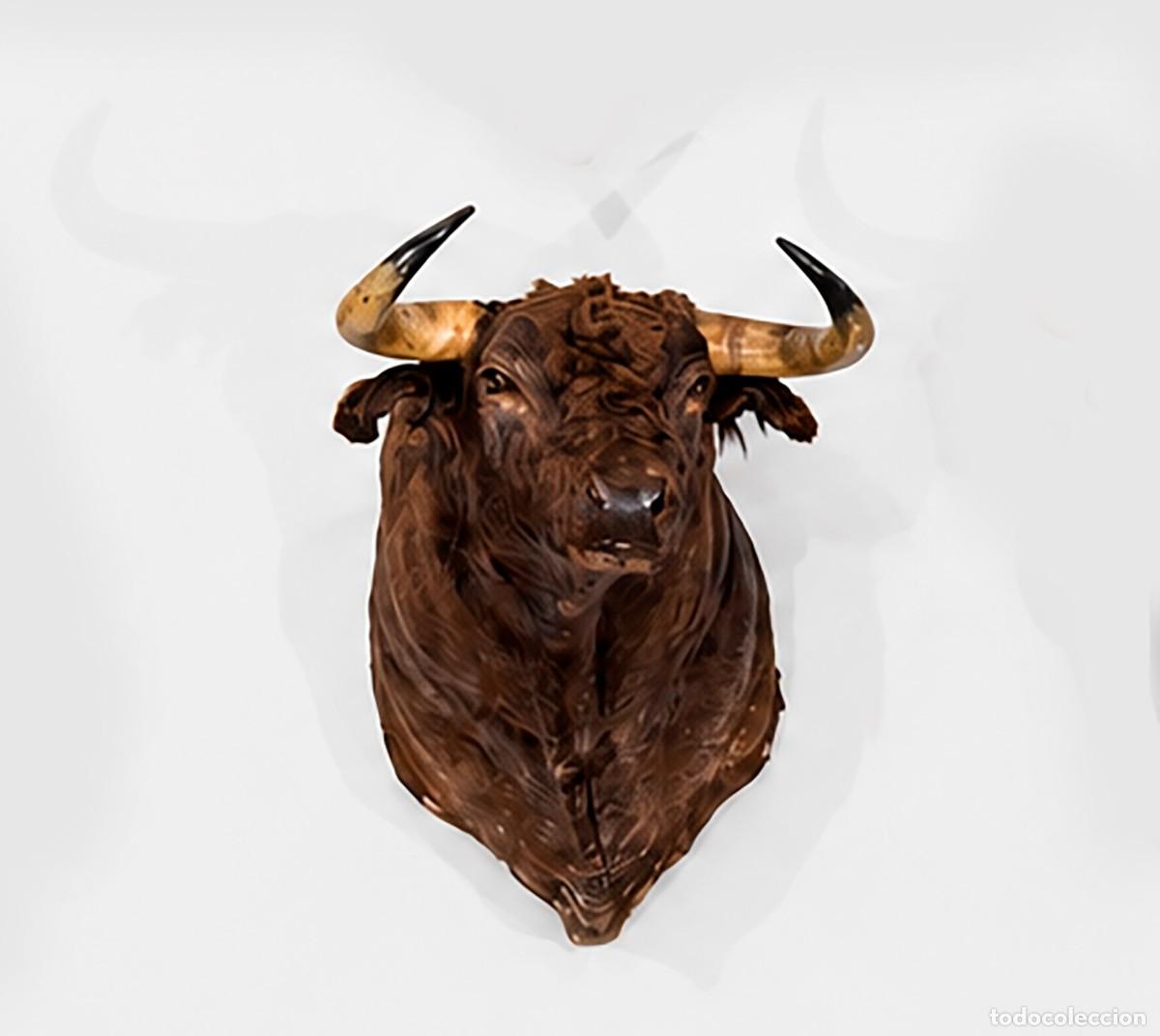 Tauromaquia: Cabeza toro de lidia naturalizada. Casta&ntilde;o oscuro. 1 m. Corten
