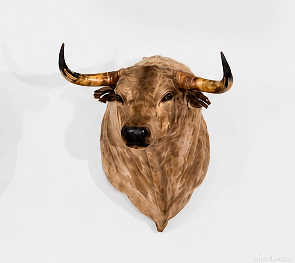 Tauromaquia: Cabeza toro de lidia naturalizada. Pinta barrosa. 1 m. Corten