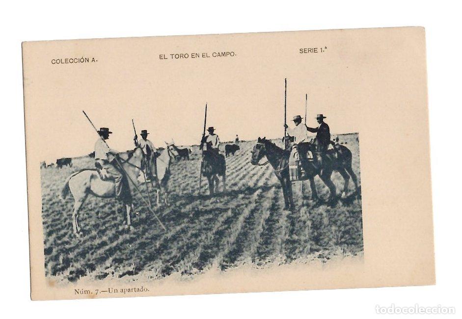 Tauromaquia: TARJETA POSTAL COLECCION A EL TORO EN EL CAMPO SERIE 1&ordf;. C.1905