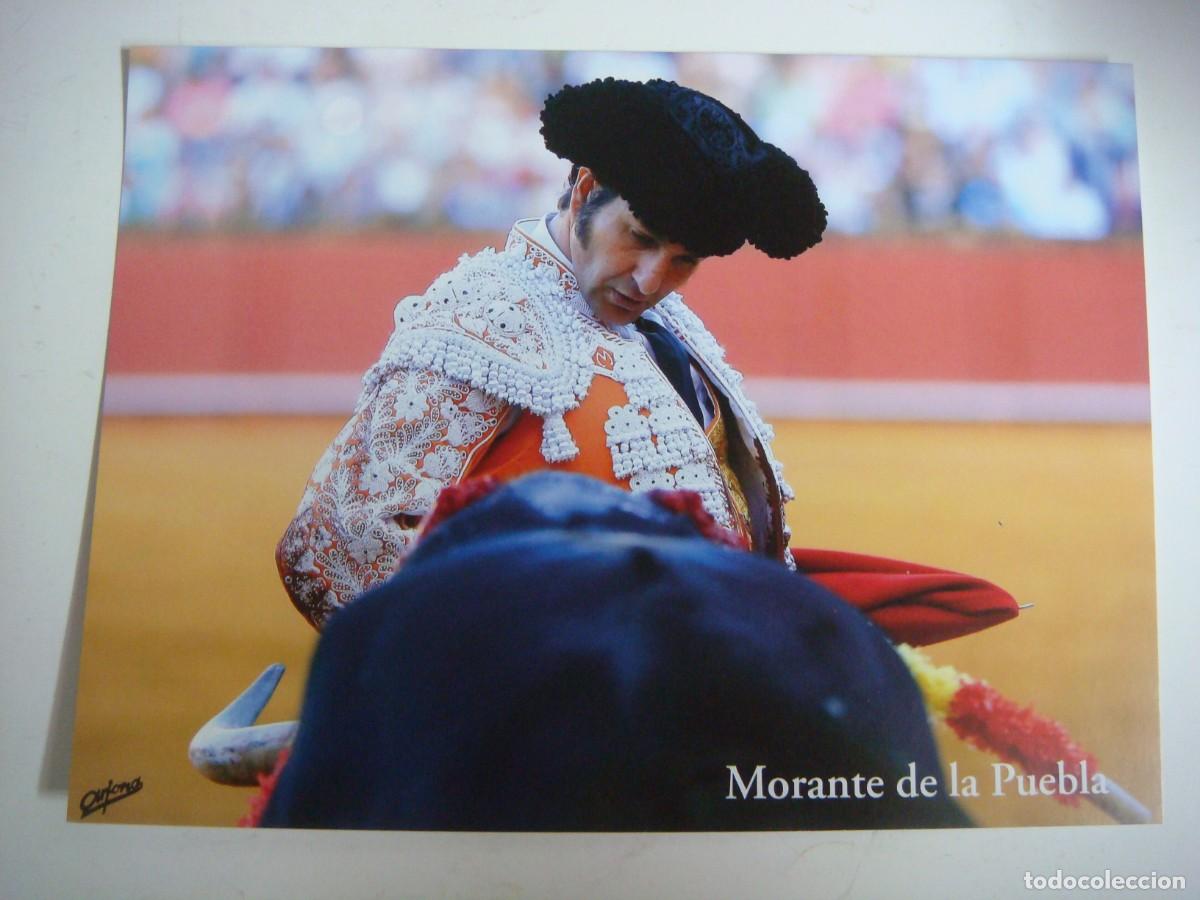 Tauromaquia: FOTO EN CARTULINA TAMA&Ntilde;O FOLIO DE MORANTE DE LA PUEBLA-(&)