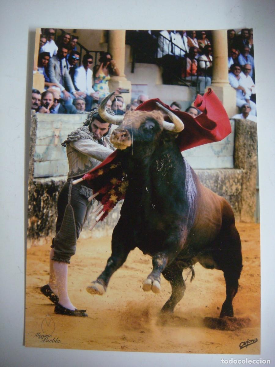 Tauromaquia: FOTO EN CARTULINA TAMA&Ntilde;O FOLIO DE MORANTE DE LA PUEBLA-(&)