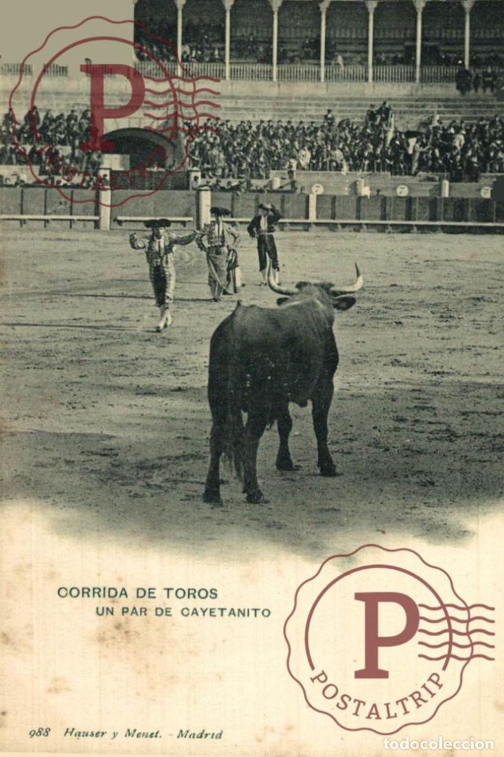 Tauromaquia: TOROS. TORERO. POSTAL CORRIDA DE TOROS UN PAR DE CAYETANITO. TAUROMAQUIA. BULLFIGHTING. CORRIDA. TAU