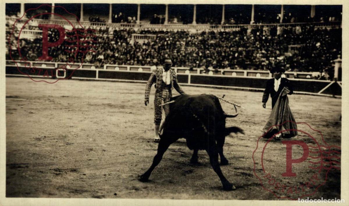 Tauromaquia: San Sebasti&aacute;n: Escena taurina en el ruedo. Fotograf&iacute;ca de Pascual Mar&iacute;n