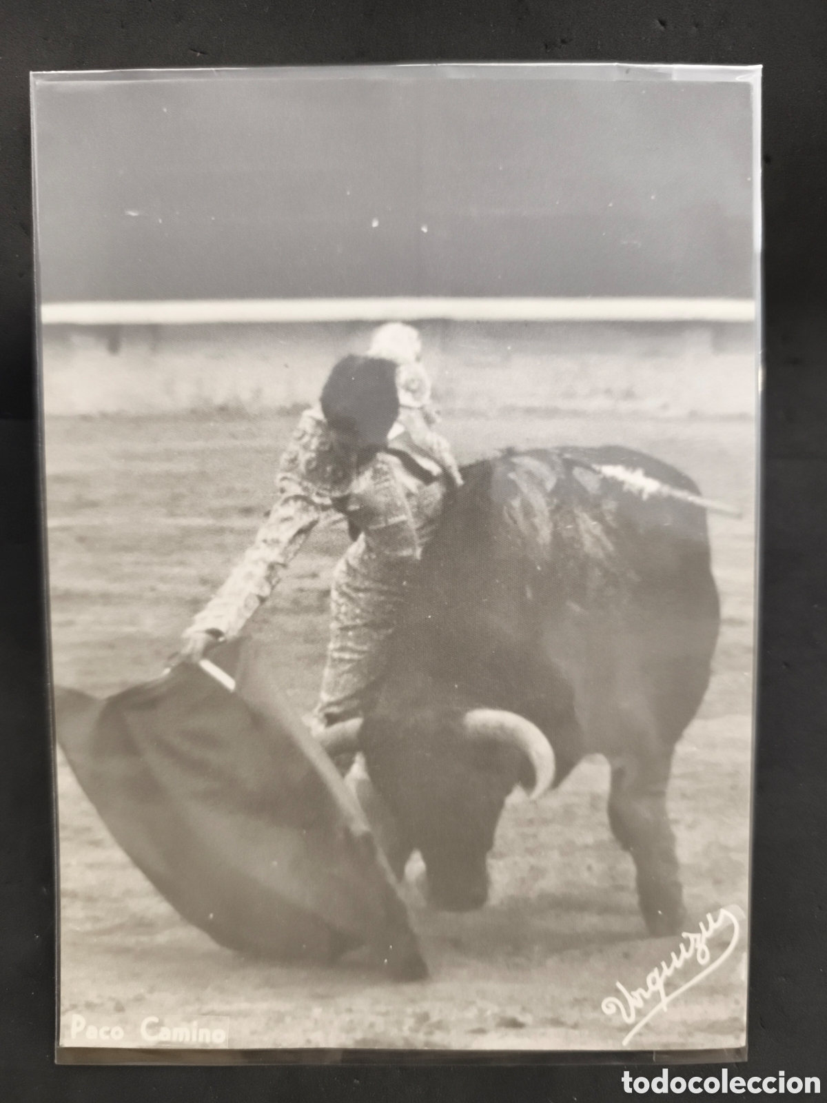 Tauromaquia: Fotograf&iacute;a torero Paco camino, fotos urquizu