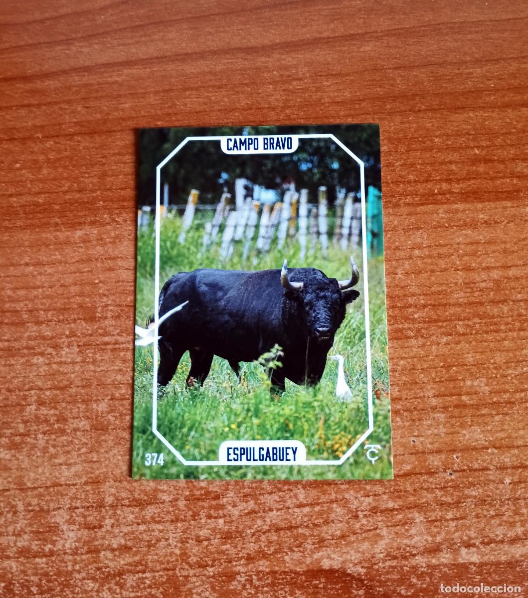 Tauromaquia: Cromo Taurocromos 2026 - N&ordm; 374 - Campo bravo - Espulgabuey